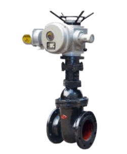 Electric Double Gate Gate Valve With Remote Control - Dazhong Valve Group | Since 1997